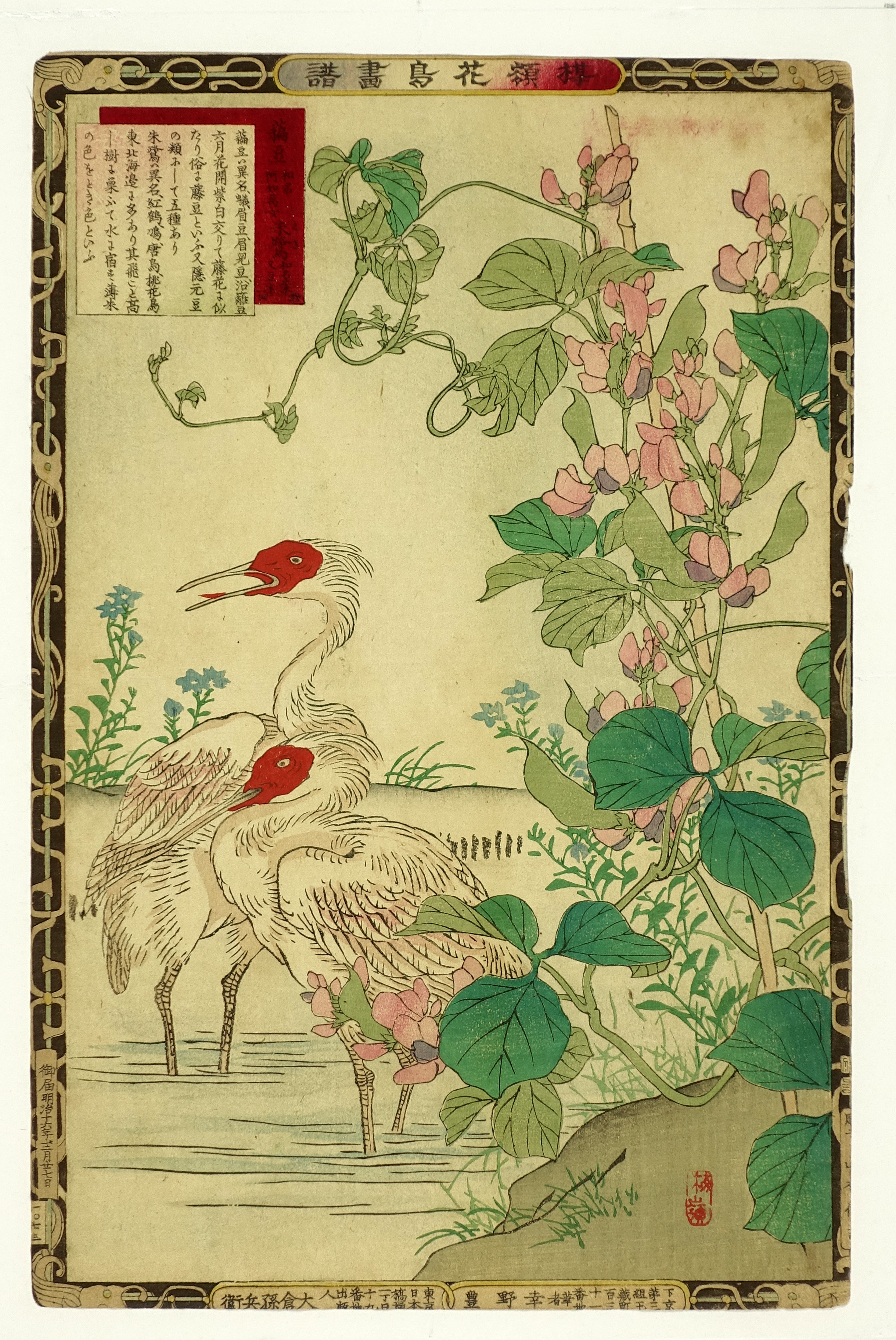 真作 北久美子「風の譜」油彩10号 孔雀・南国花鳥画名画・南国花鳥画 