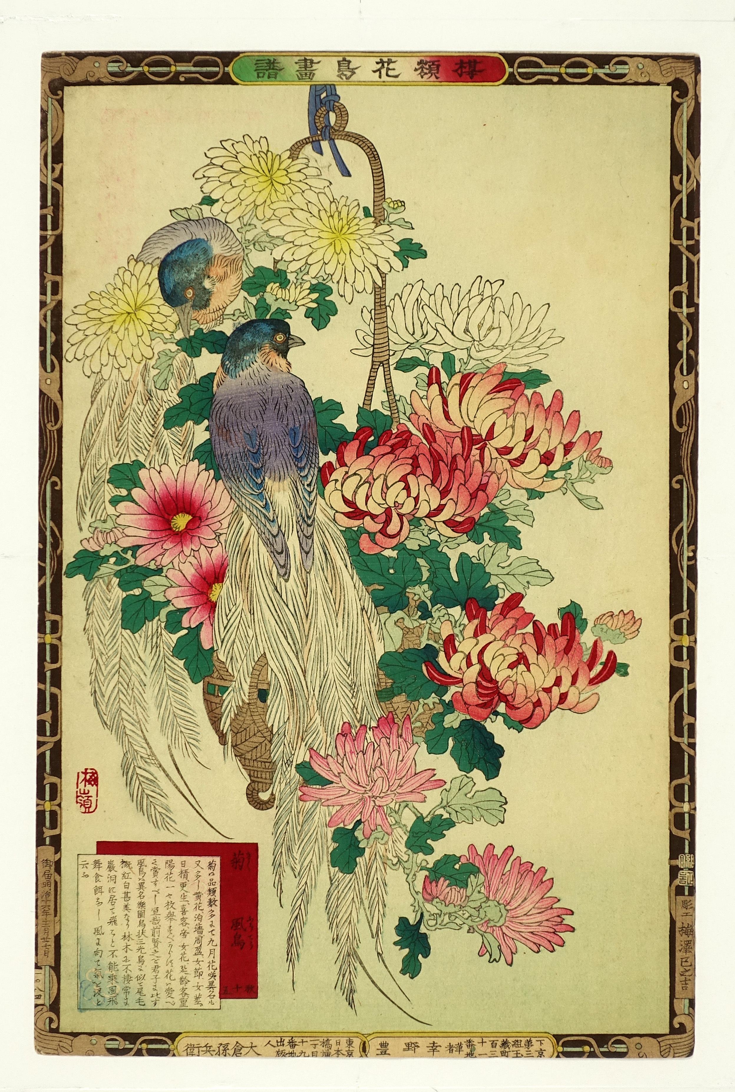 楳嶺花鳥画譜 菊 風鳥 山星書店 浮世絵 在庫目録 名古屋