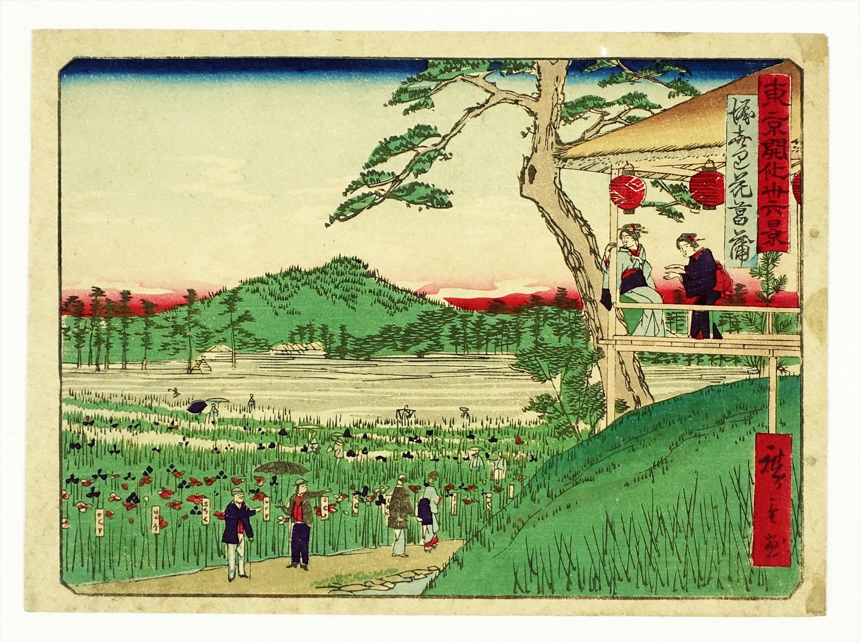 東京開化三十六景 堀きり花菖蒲 | 山星書店 浮世絵 Yamaboshi-Shoten 