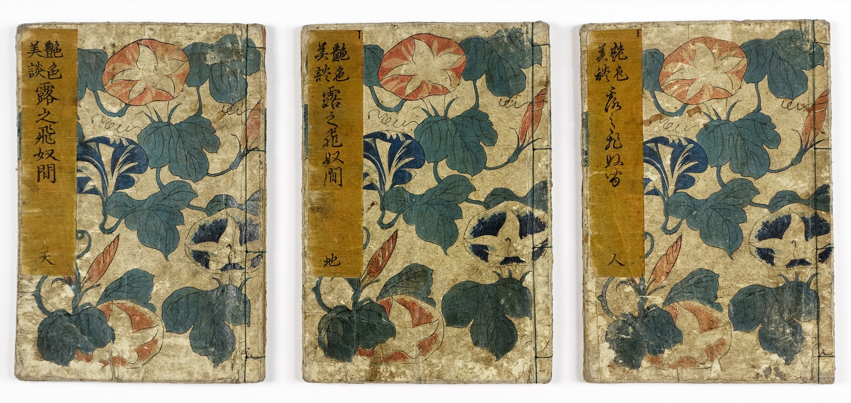 □激レア江戸彩色版絵入り艶本『八重桜夜の色どり 全1冊』江戸カラー版 