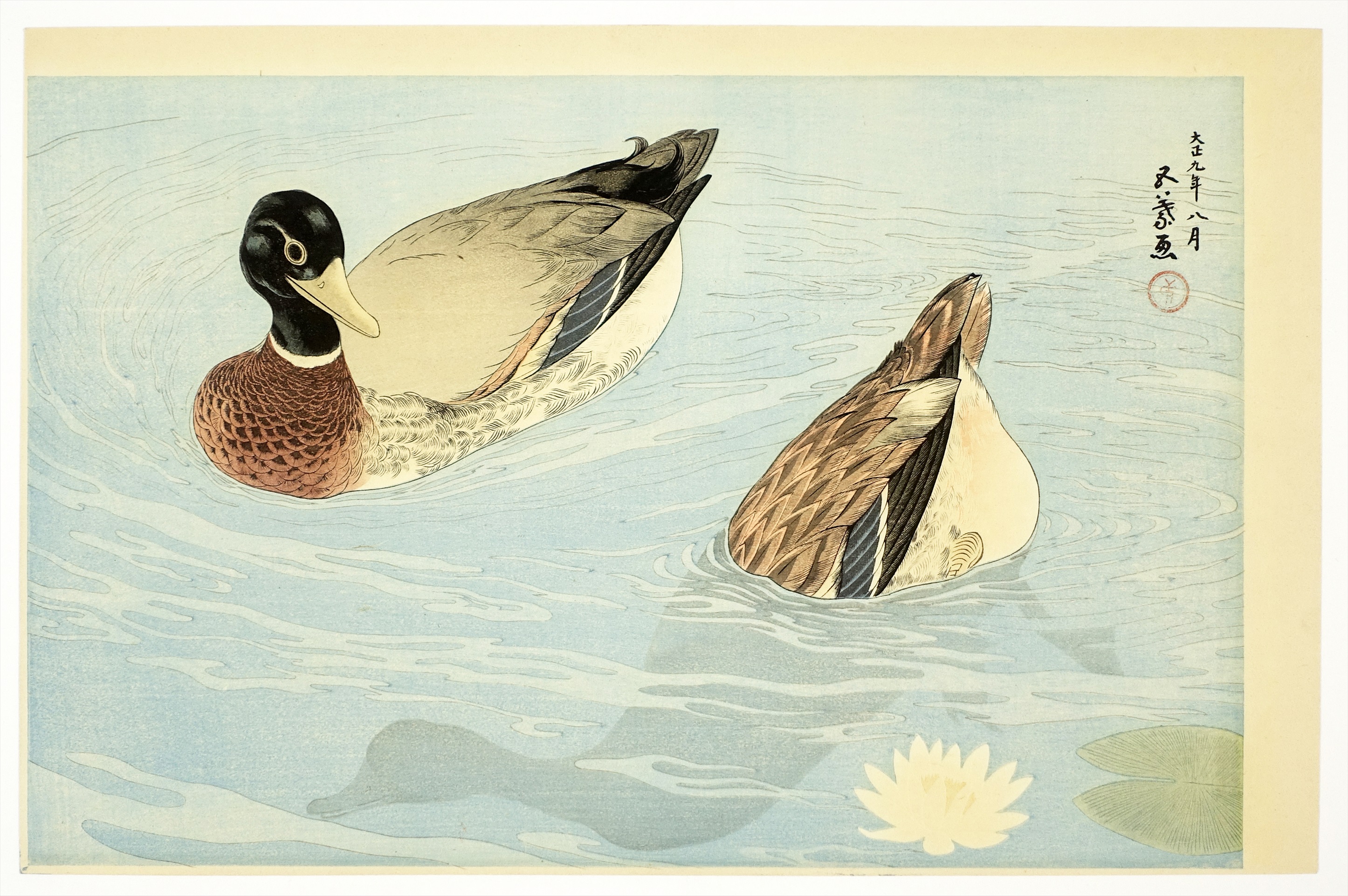 橋口五葉 木版画 鴨 | 山星書店 浮世絵 Yamaboshi-Shoten Ukiyo-e