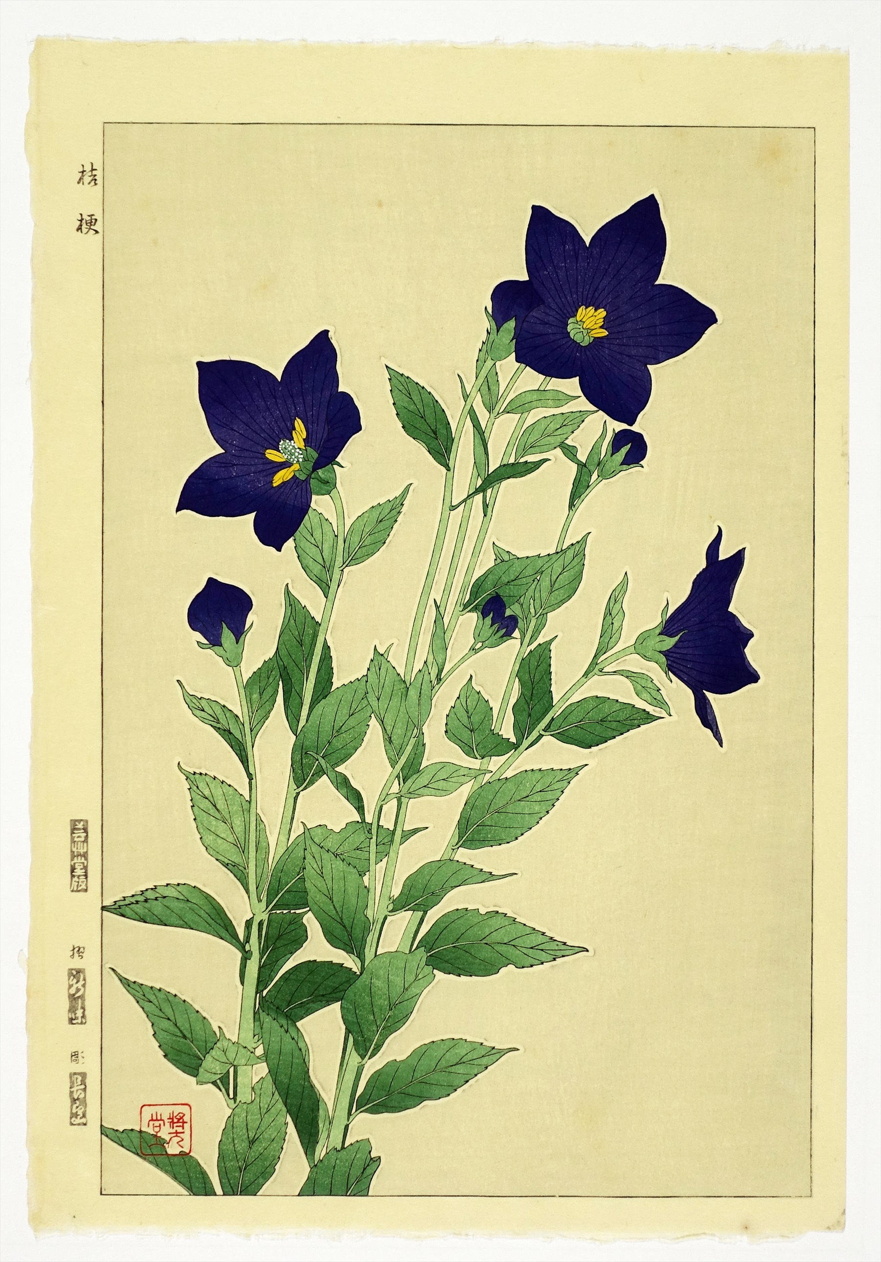 河原崎奨堂 芸艸堂 花の木版画 桔梗 Amazon.co.jp: 額装 河原崎奨堂 