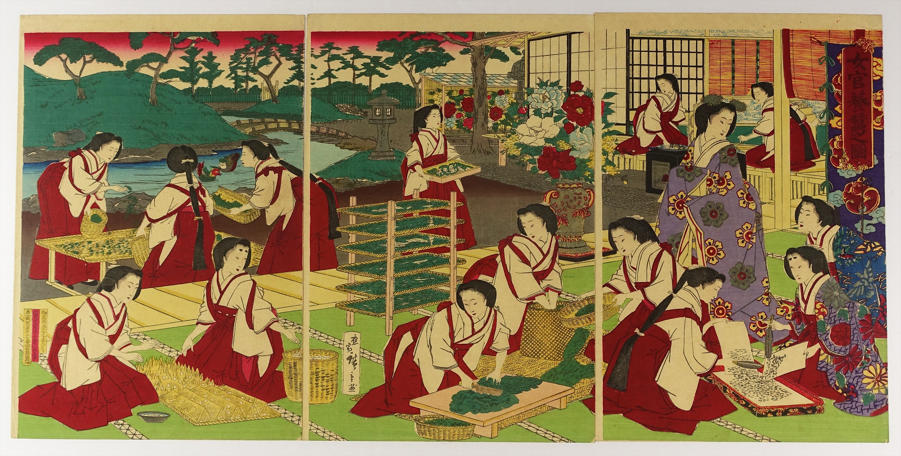 賀来飛霞 彩色花弁圜 希少 墨彩画 日本画 牧野富太郎 小石川植物園 