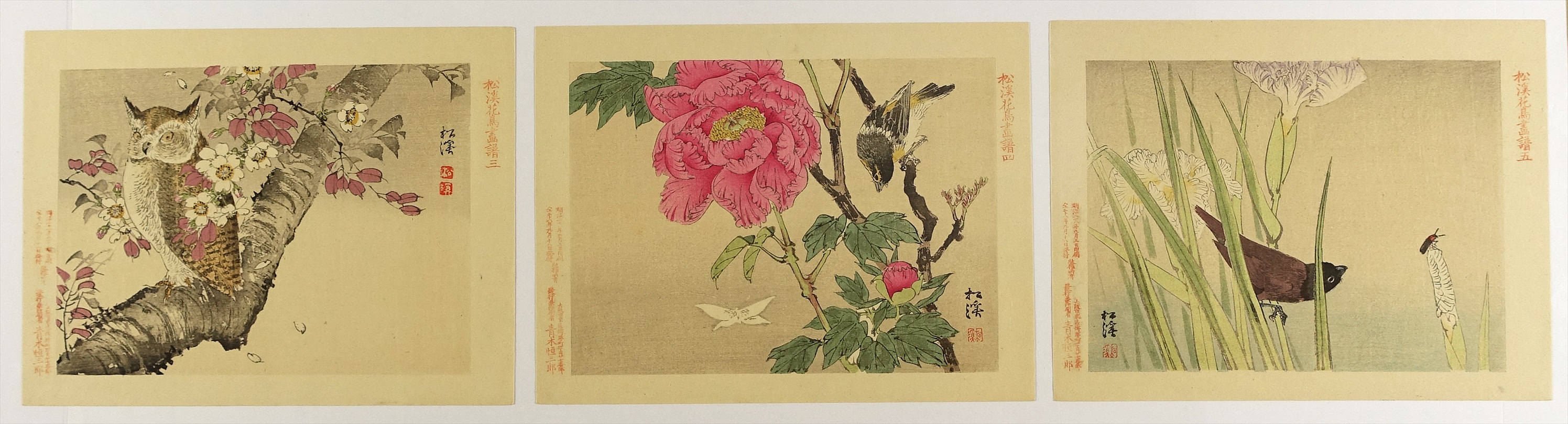 5900出品記念』 川島 見依絵子 リトグラフ 110/200 - 絵画